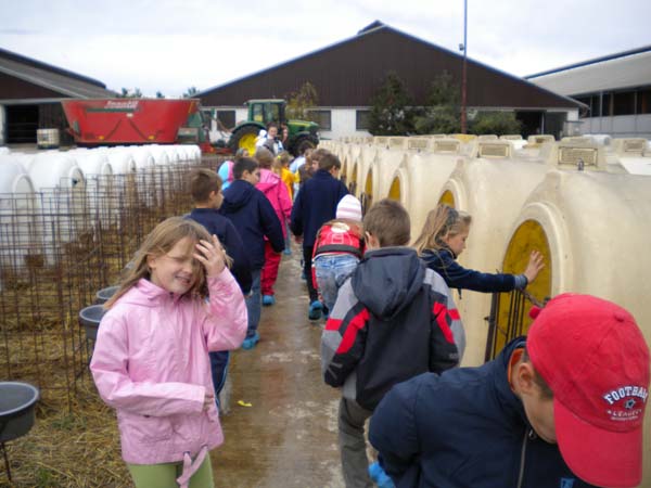 Deti za kravou 088 My a teliatka